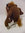 Der Tasmanische Teufel (kurz TAZ) - Stofftier - 20 cm - Gebraucht