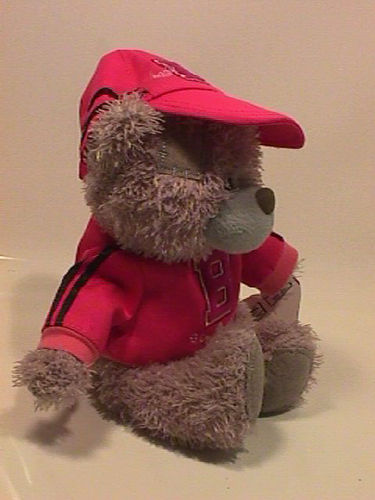 Bär (Teddy) mit Shirt und Mütze - Stofftier - 20 cm - Gebraucht