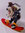 Der Tasmanische Teufel (kurz TAZ) - auf Snowboard - Stofftier - 19 cm - Gebraucht