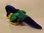 Vogel (Papagei) - Stofftier - 50 cm - Gebraucht