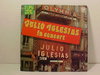 Julio Iglesias - IN CONCERT - Schallplatte Vinyl Doppel LP - Gebraucht