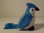 Vogel (Blauhäher) - Stofftier - 13 cm - Gebraucht